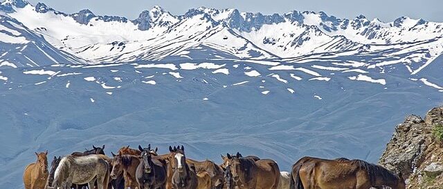 Vacances-Kirghizstan-chaine-montagnes-suusamyr-too-kirghizistan